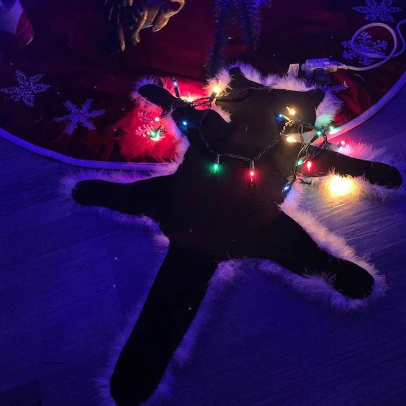 Brighthowl Aunt Bethany's Fried Cat Decorative Fur Trimmed Rug