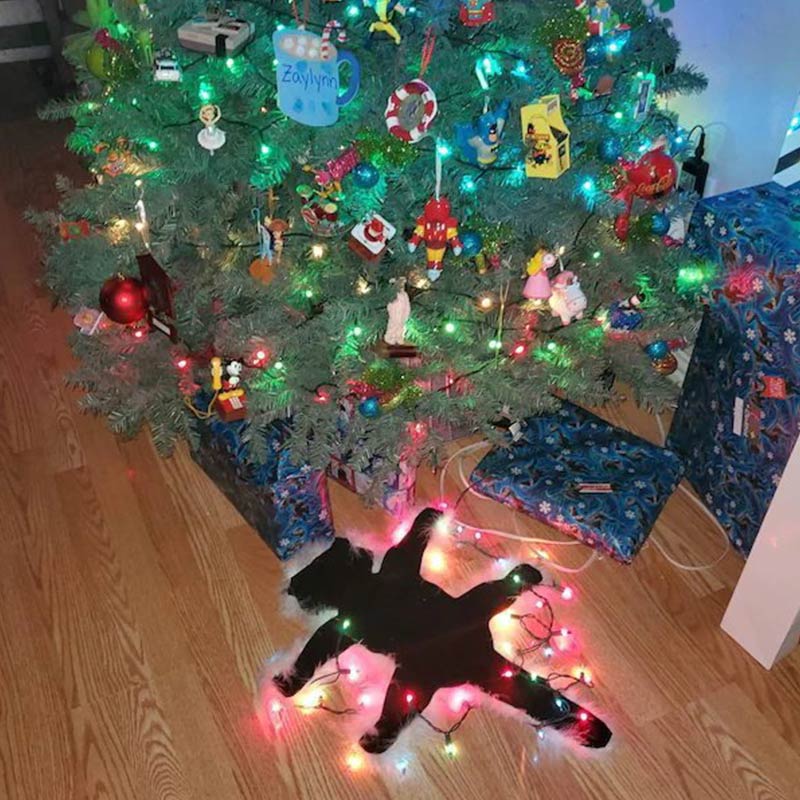 Brighthowl Aunt Bethany's Fried Cat Decorative Fur Trimmed Rug